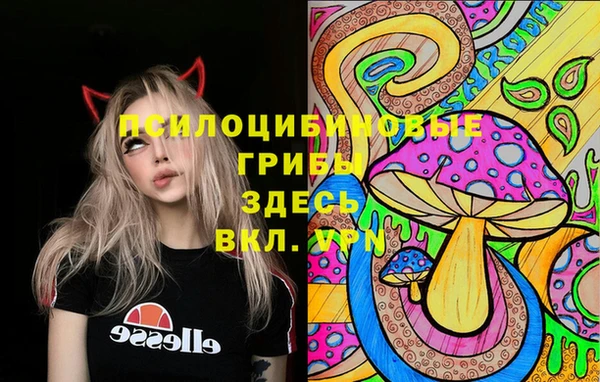 гашиш Новозыбков