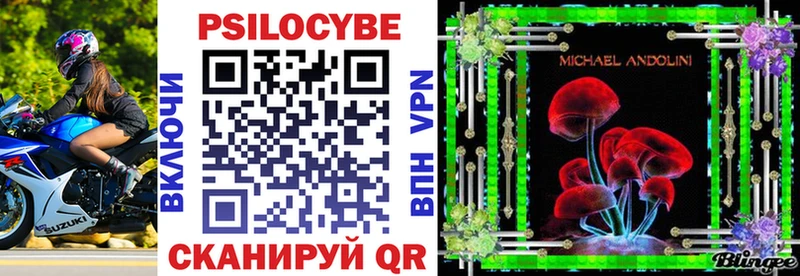 Галлюциногенные грибы Psilocybine cubensis  Сычёвка 