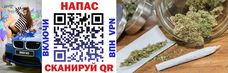 Бошки Шишки индика  мориарти клад  Сычёвка 